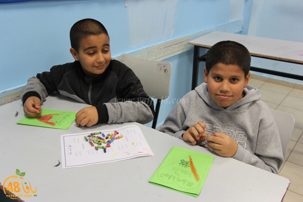 tolab marjkarz yaffa (22).JPG